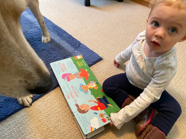 Baby reads "Nita's First Signs"